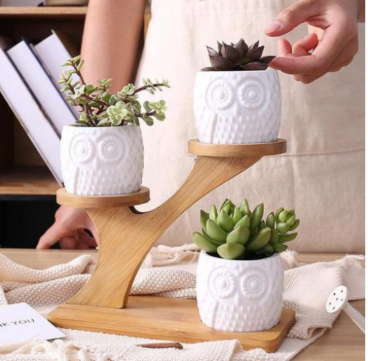 Dekorativ Planteholder i Træ med Ugle Design til Sukulenter og Stueplanter-5