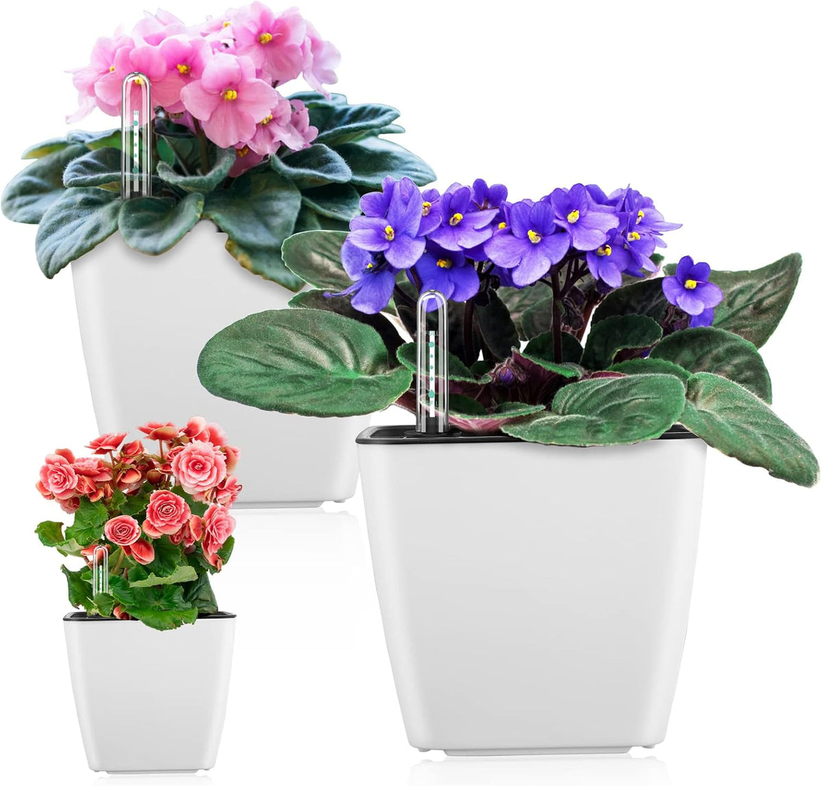 Selvvandende Blomsterpot til Indendørs og Udendørs Brug-6