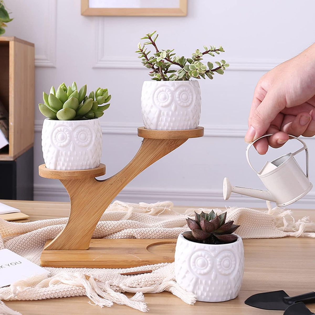 Dekorativ Planteholder i Træ med Ugle Design til Sukulenter og Stueplanter-4
