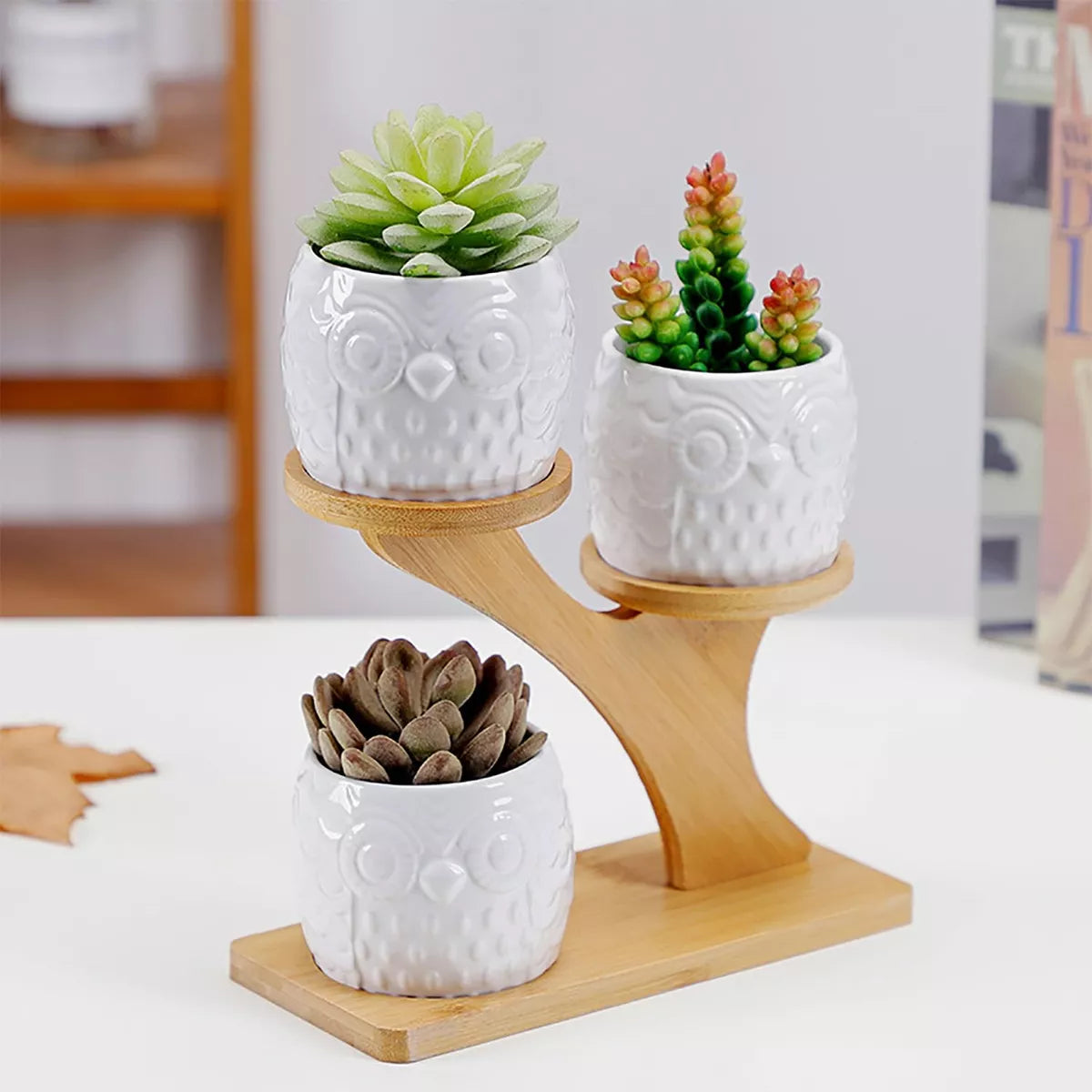 Dekorativ Planteholder i Træ med Ugle Design til Sukulenter og Stueplanter-3