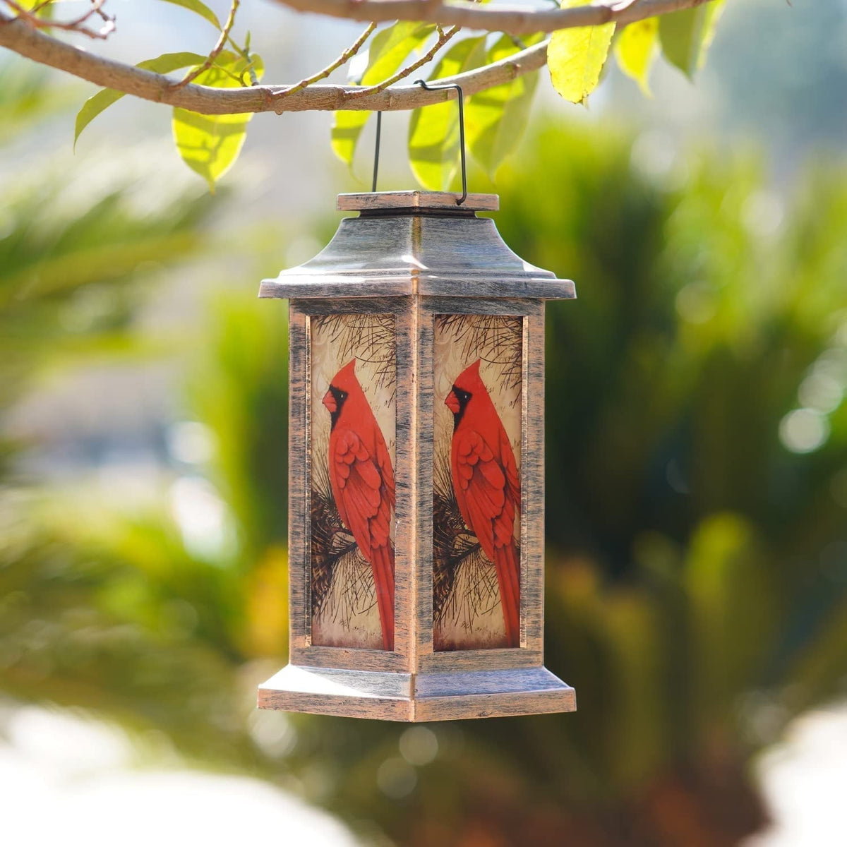 Solar Lanterne til Have | LuxeGlow-6