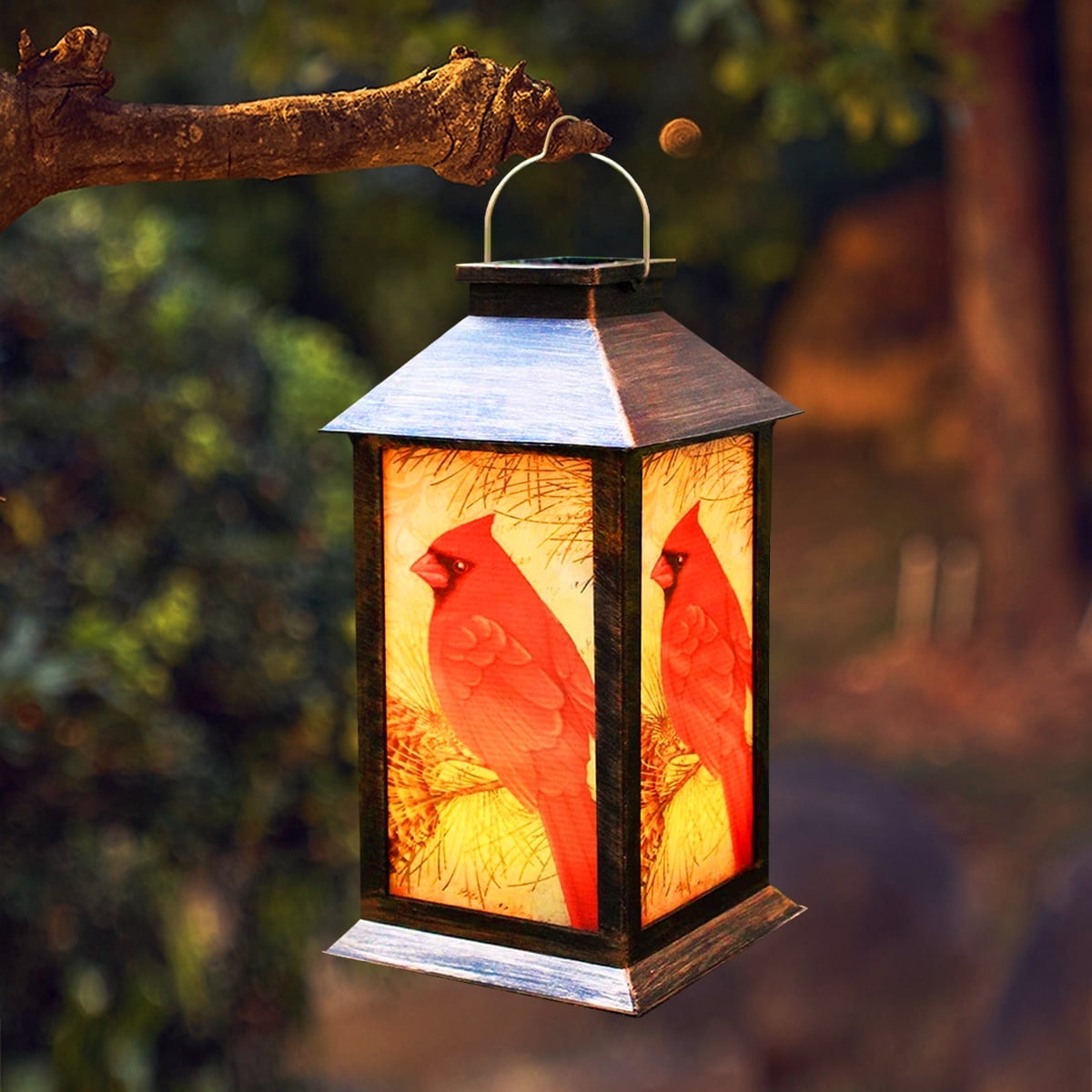 Solar Lanterne til Have | LuxeGlow-3