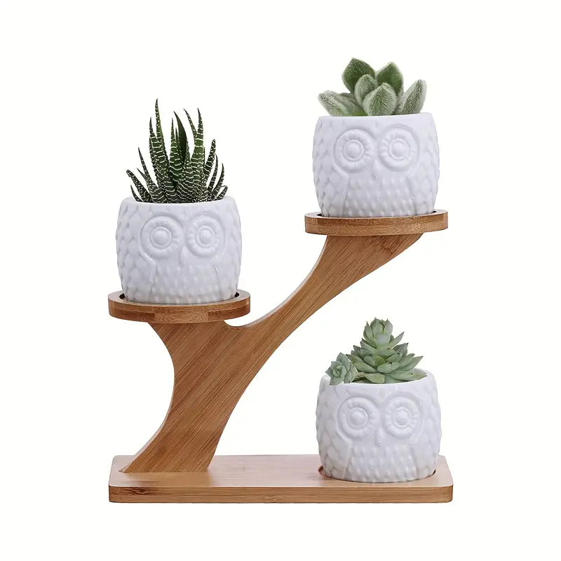 Dekorativ Planteholder i Træ med Ugle Design til Sukulenter og Stueplanter-6