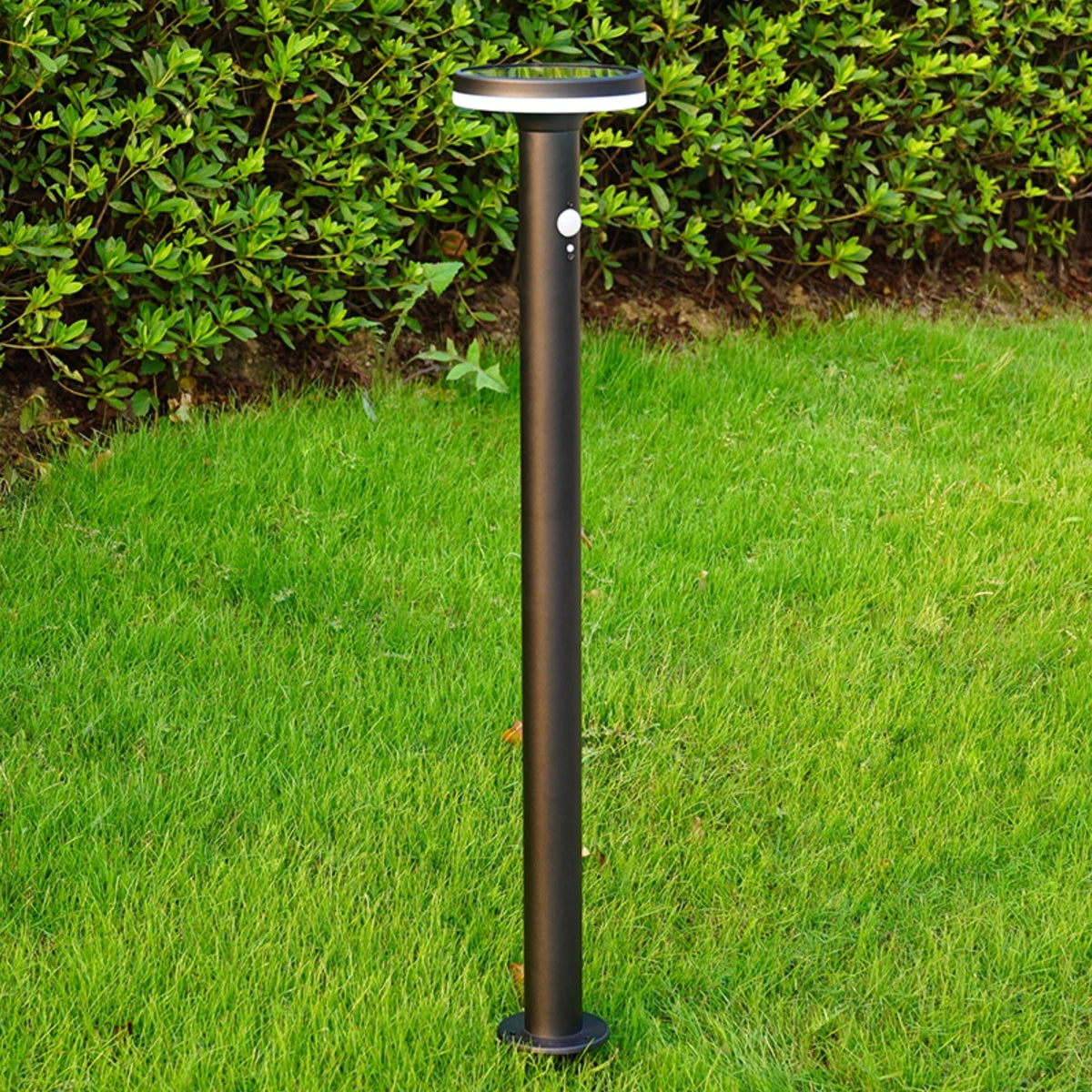 Solarlampe med Monokristallinsk Solpanel og Rustfrit Stål Design-1