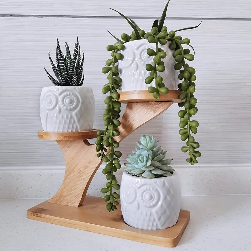 Dekorativ Planteholder i Træ med Ugle Design til Sukulenter og Stueplanter-2