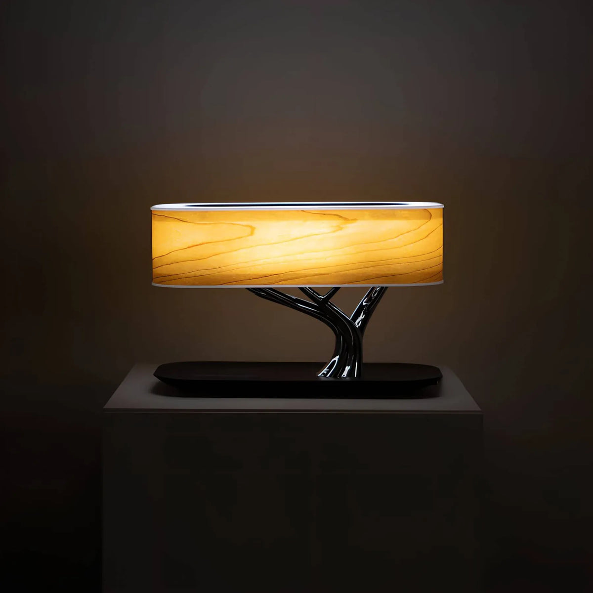 Moderne Tafellamp | LumoCurve