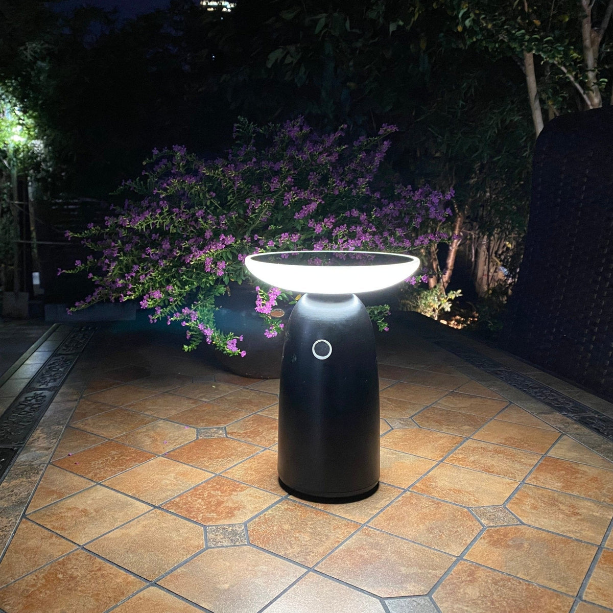 Solarlampe til Bord med Justerbar Lysstyrke og USB-Opladning-1