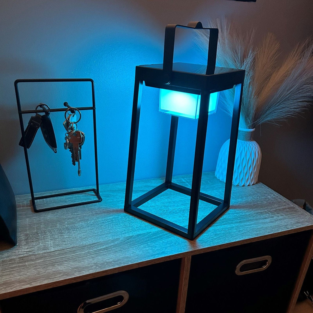 Solarlampe med USB-Opladning og Smart Garden App til Indendørs og Udendørs Brug-4
