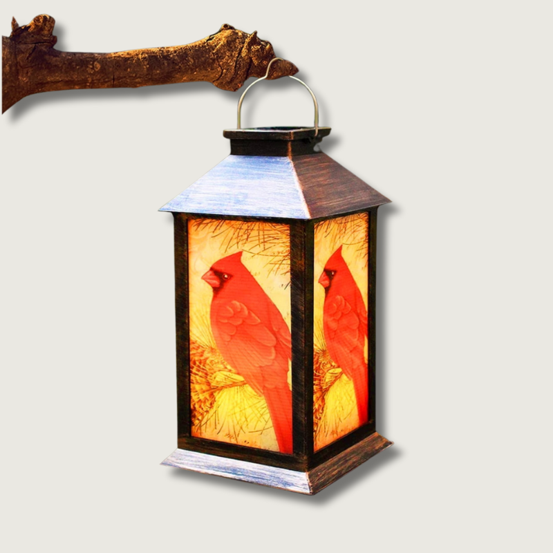 Solar Lanterne til Have | LuxeGlow-1