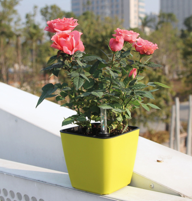 Selvvandende Blomsterpot til Indendørs og Udendørs Brug-2