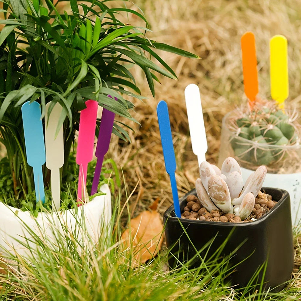 Farverige Plante Markører i Plast til Haven - Vejrbestandige og Holdbare Dekorationer-2