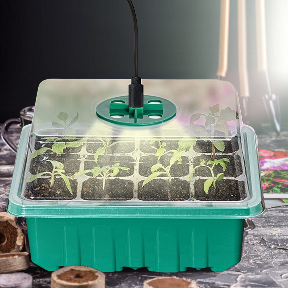 Vækstsæt med LED Lys til Indendørs Planter og Plantekasser-3