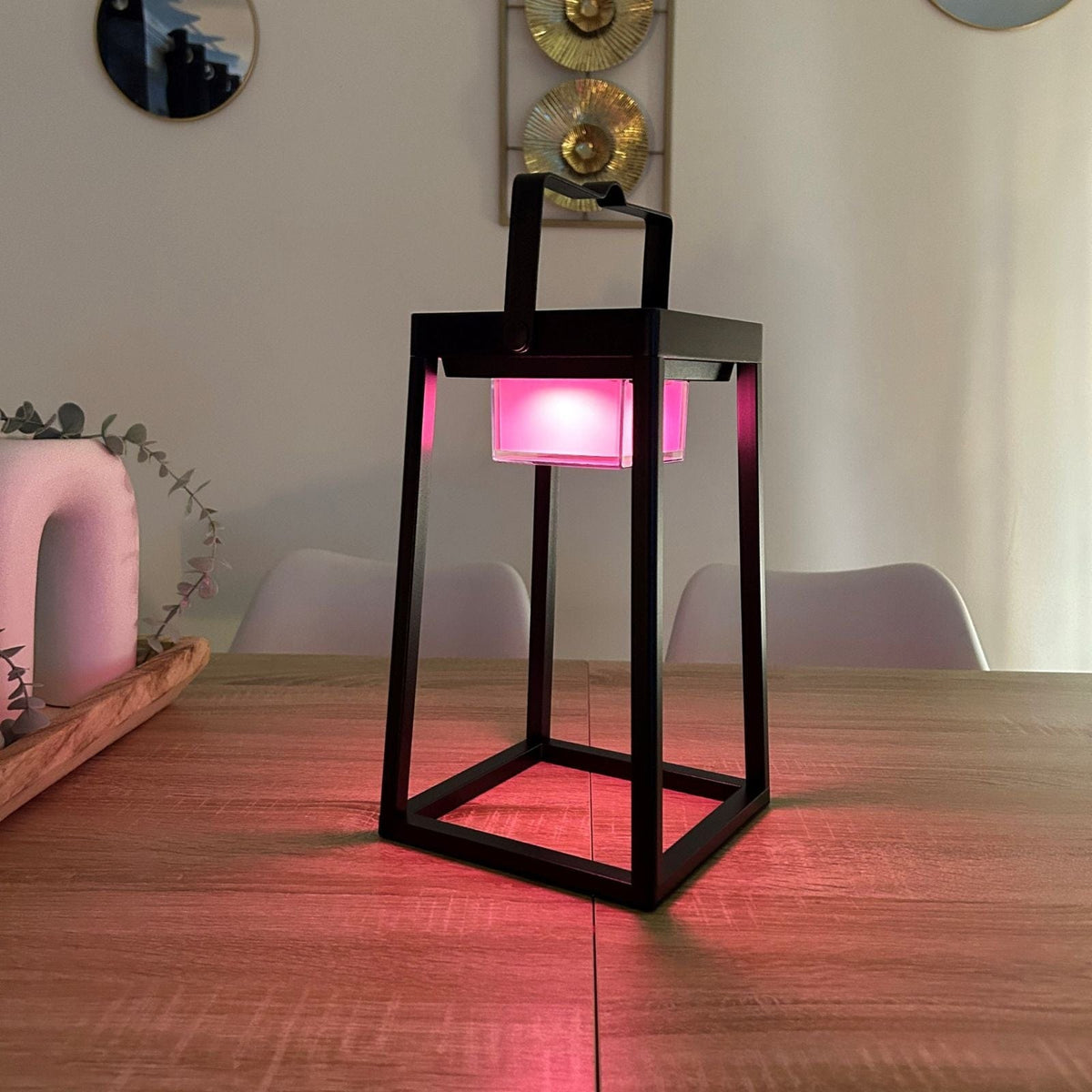 Solarlampe med USB-Opladning og Smart Garden App til Indendørs og Udendørs Brug-1